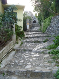 P1050772