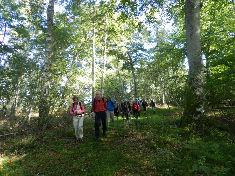 BoBokskogen på Hallands väderö