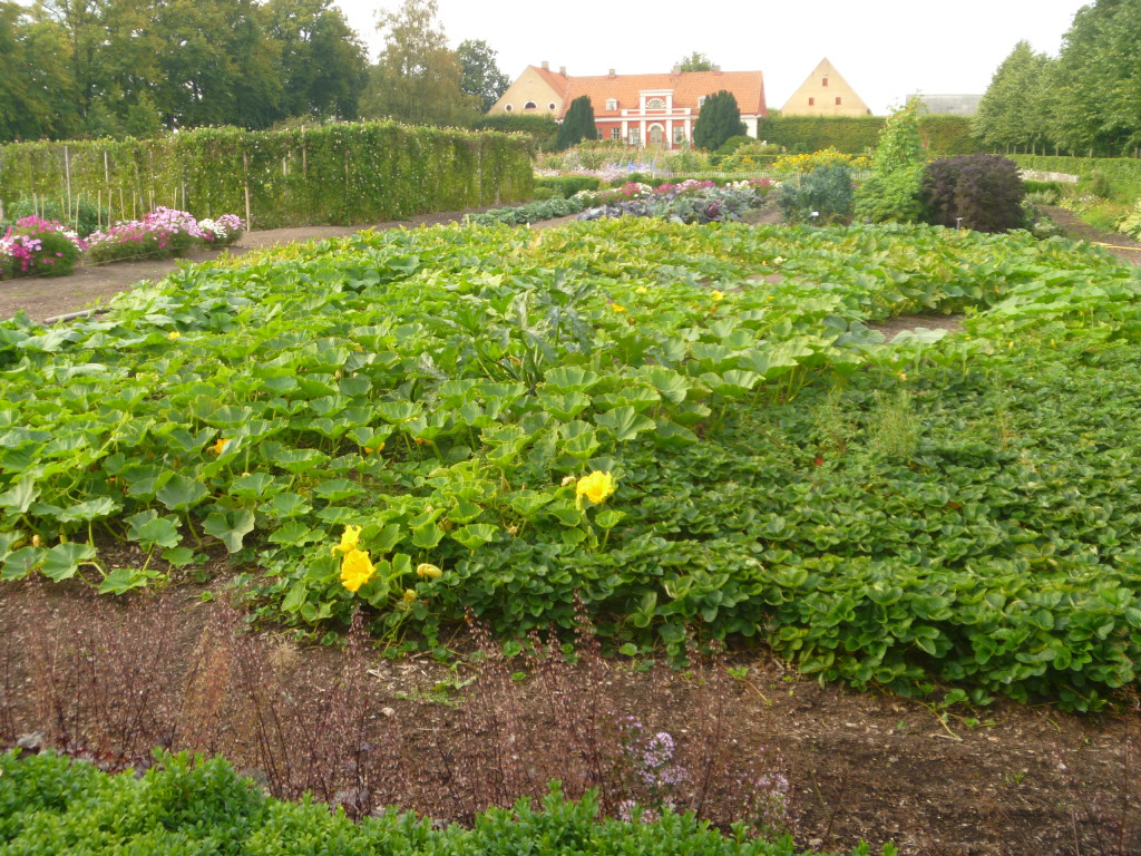 Katrinetorps gård
